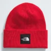 Big Box Beanie
