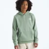 Boys’ & Girls’ Evolution Box NSE Pullover Hoodie—Graphic
