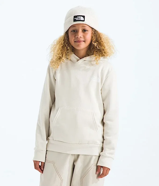 Boys’ & Girls’ Evolution Box NSE Pullover Hoodie—Graphic