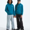 Boys’ & Girls’ Evolution Simple Dome Pullover Hoodie Boys’ & Girls’ Evolution Simple Dome Pullover Hoodie