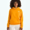 Boys’ & Girls’ Evolution Simple Dome Pullover Hoodie Boys’ & Girls’ Evolution Simple Dome Pullover Hoodie