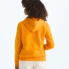 Boys’ & Girls’ Evolution Simple Dome Pullover Hoodie Boys’ & Girls’ Evolution Simple Dome Pullover Hoodie