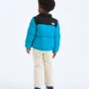 Kids’ 1996 Retro Nuptse Jacket Kids’ 1996 Retro Nuptse Jacket