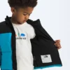 Kids’ 1996 Retro Nuptse Jacket Kids’ 1996 Retro Nuptse Jacket