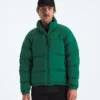 Men’s 1996 Retro Nuptse DTM Jacket Men’s 1996 Retro Nuptse DTM Jacket