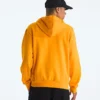 Men’s Evolution BTS Hoodie—Graphic
