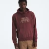 Men’s Evolution TNF™ Bear Hoodie—Graphic