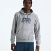 Men’s Evolution TNF™ Bear Hoodie—Graphic