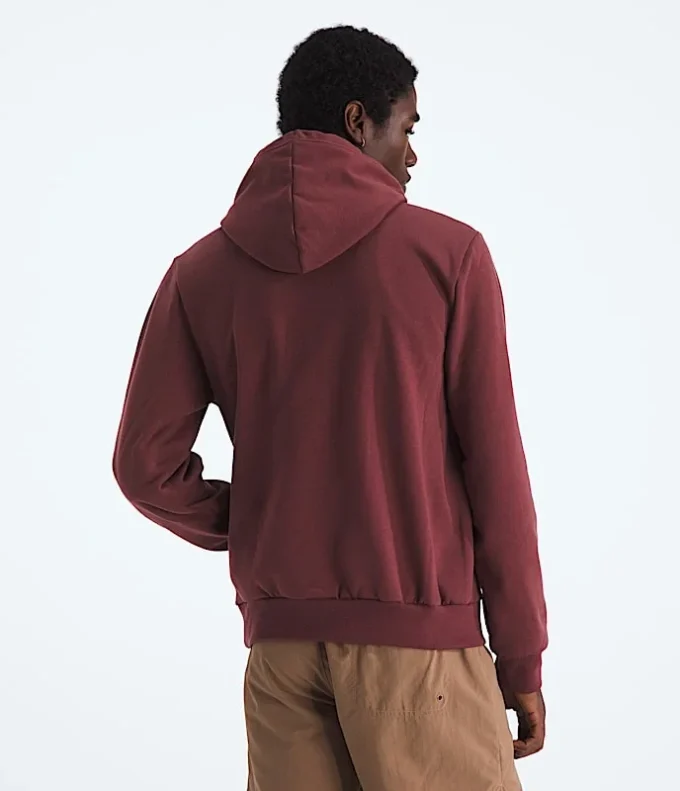 Men’s Evolution TNF™ Bear Hoodie—Graphic