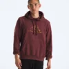 Men’s Evolution TNF™ MTN Hoodie—Graphic