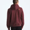 Men’s Evolution TNF™ MTN Hoodie—Graphic