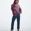 Men’s Evolution Vintage Hoodie Men’s Evolution Vintage Hoodie