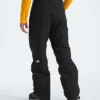 Men’s Freedom Insulated Pants