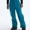 Men’s Freedom Pants Men’s Freedom Pants