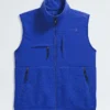 Men’s Retro Denali DTM Vest Men’s Retro Denali DTM Vest