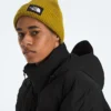 Men’s RMST GORE-TEX® Nuptse Tek Jacket Men’s RMST GORE-TEX® Nuptse Tek Jacket