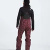 Men’s Summit Series Verbier GORE-TEX® Bibs Men’s Summit Series Verbier GORE-TEX® Bibs