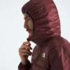Men’s Terra Peak Hoodie