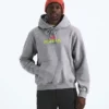 Men’s TNF™ Essential Expedition Series Hoodie—Graphic