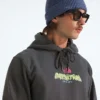 Men’s TNF™ Essential Expedition Series Hoodie—Graphic