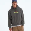 Men’s TNF™ Essential Expedition Series Hoodie—Graphic