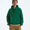 Men’s TNF™ Essential Simple Dome Relaxed Hoodie