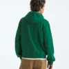 Men’s TNF™ Essential Simple Dome Relaxed Hoodie