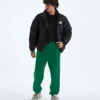 Men’s TNF™ Essential Simple Dome Relaxed Pants Men’s TNF™ Essential Simple Dome Relaxed Pants