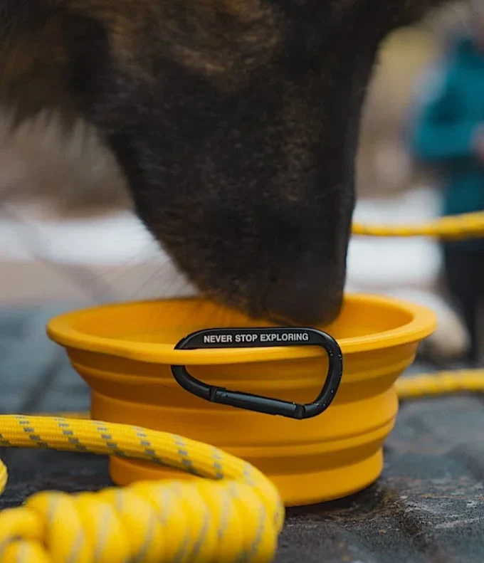 TNF™ Collapsible Pet Bowl TNF™ Collapsible Pet Bowl