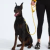 TNF™ Pet Leash
