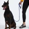 TNF™ Pet Leash