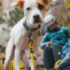 TNF™ Pet Leash