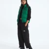 Women’s 1996 Retro Nuptse DTM Vest Women’s 1996 Retro Nuptse DTM Vest