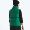 Women’s 1996 Retro Nuptse DTM Vest Women’s 1996 Retro Nuptse DTM Vest