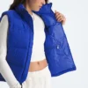Women’s 1996 Retro Nuptse DTM Vest Women’s 1996 Retro Nuptse DTM Vest