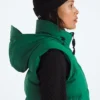 Women’s 1996 Retro Nuptse DTM Vest Women’s 1996 Retro Nuptse DTM Vest