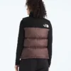 Women’s 1996 Retro Nuptse Vest