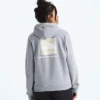 Women’s Evolution Box NSE Fill Light Hoodie—Graphic