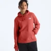 Women’s Evolution Box NSE Fill Light Hoodie—Graphic Women’s Evolution Box NSE Fill Light Hoodie—Graphic