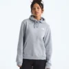Women’s Evolution Box NSE Fill Light Hoodie—Graphic