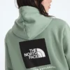Women’s Evolution Box NSE Regular Hoodie