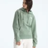 Women’s Evolution Box NSE Regular Hoodie