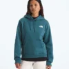 Women’s Evolution Box NSE Regular Hoodie