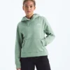 Women’s Evolution Simple Dome Regular Hoodie Women’s Evolution Simple Dome Regular Hoodie
