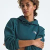 Women’s Evolution Simple Dome Regular Hoodie Women’s Evolution Simple Dome Regular Hoodie