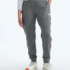 Women’s TNF™ Performance Fleece SW Pants