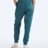 Women’s TNF™ Performance Fleece SW Pants